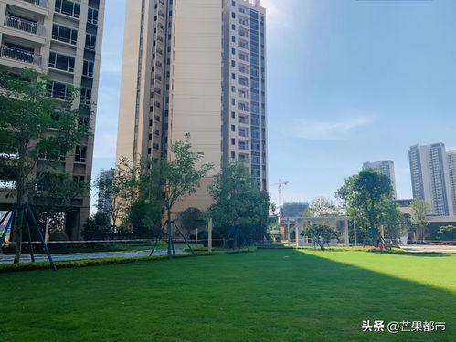 大開(kāi)眼界 城北明星盤(pán)做得很走心,這才是真正的匠心產(chǎn)品