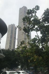 世茂茶亭臻園綜合評析：優點、不足及周邊中介評價